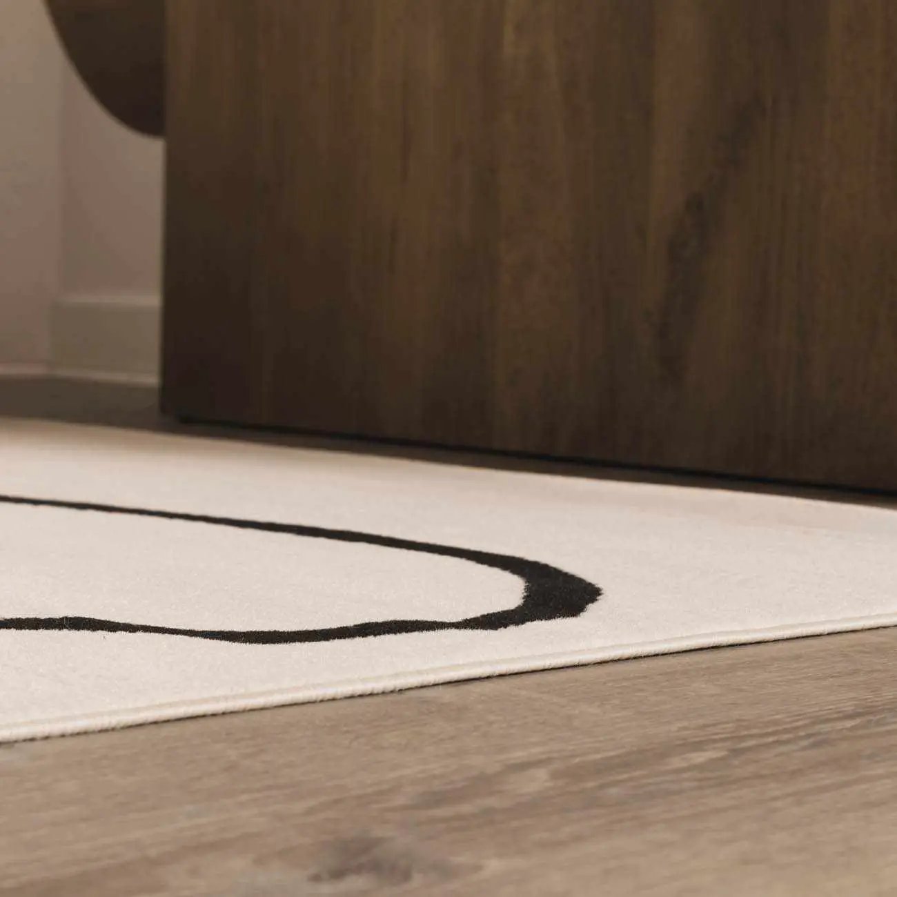 Eilir Modern Low Profile Boho Rug by Boutique Rugs