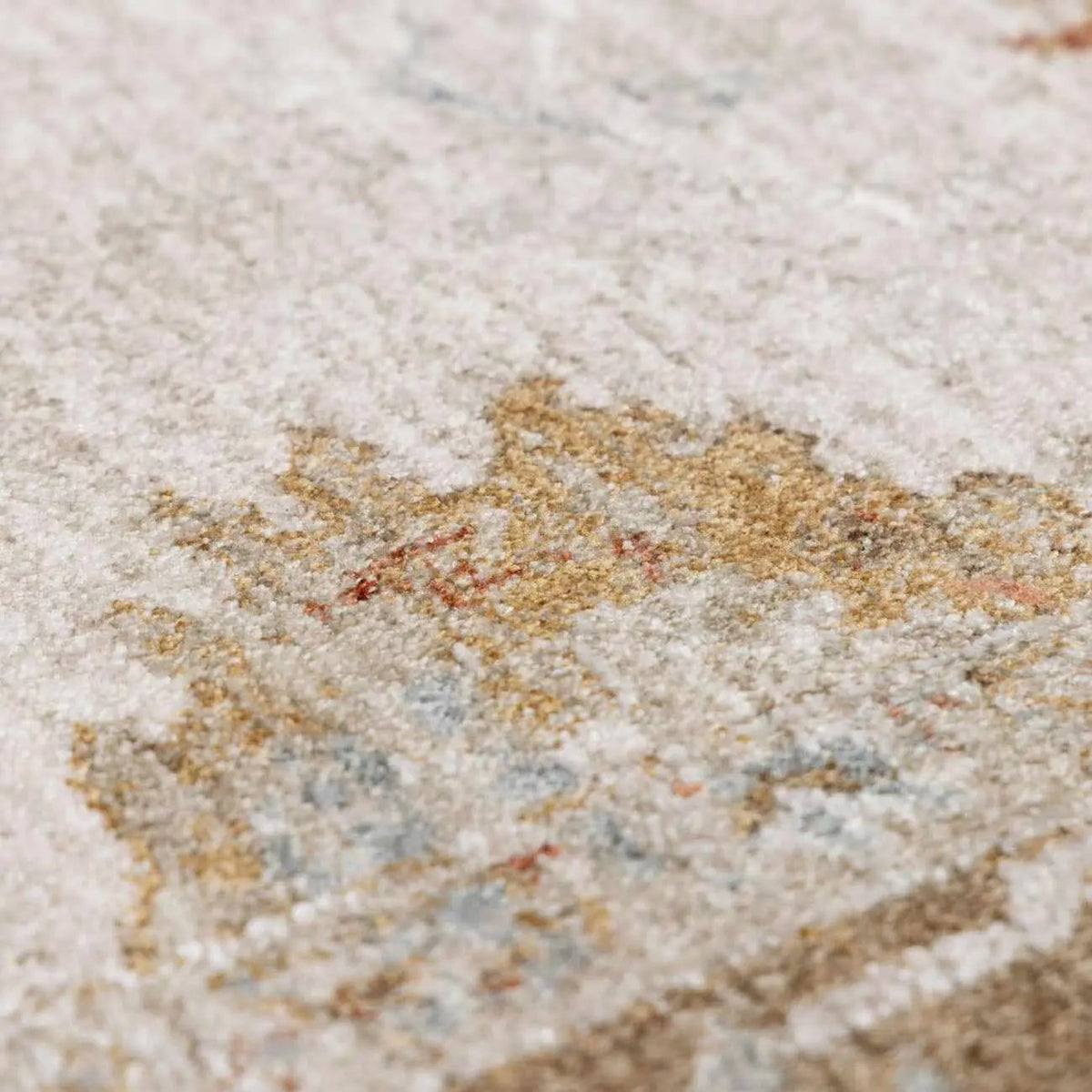 Elloree Traditional Thick Luxe Statement Rug - Clearance, photo 17 of 18