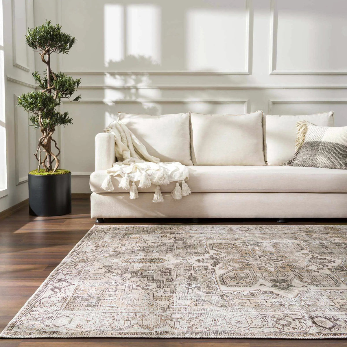Nadia Area Rug - Clearance, installed in a room 5