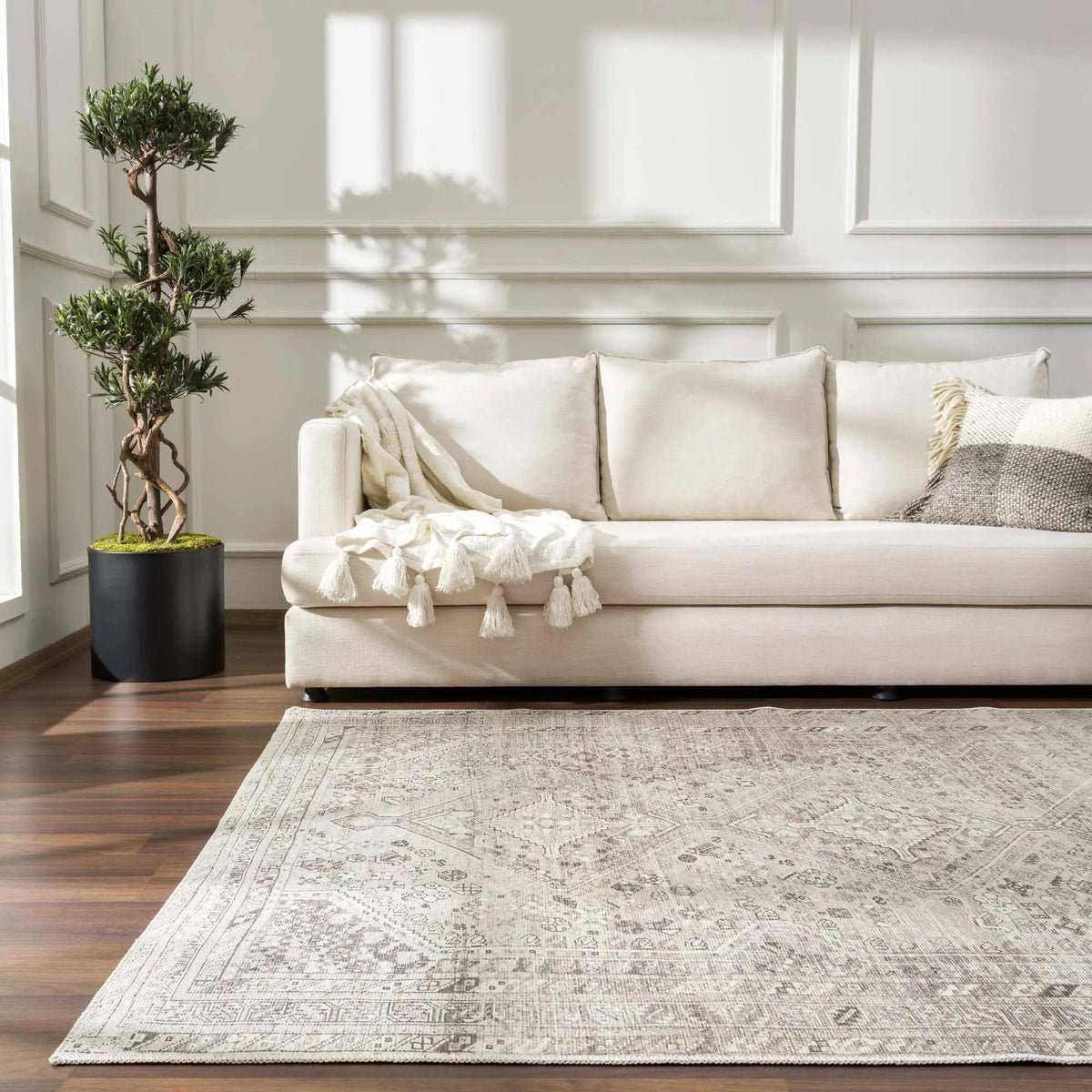 Nadie Area Rug - Clearance, installed in a room 5