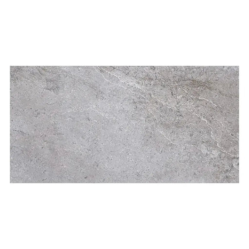Coin Gray 12x24 Matte Field Porcelain Tile (5 pack, 10.763 sq ft/case) by Apollo Tile