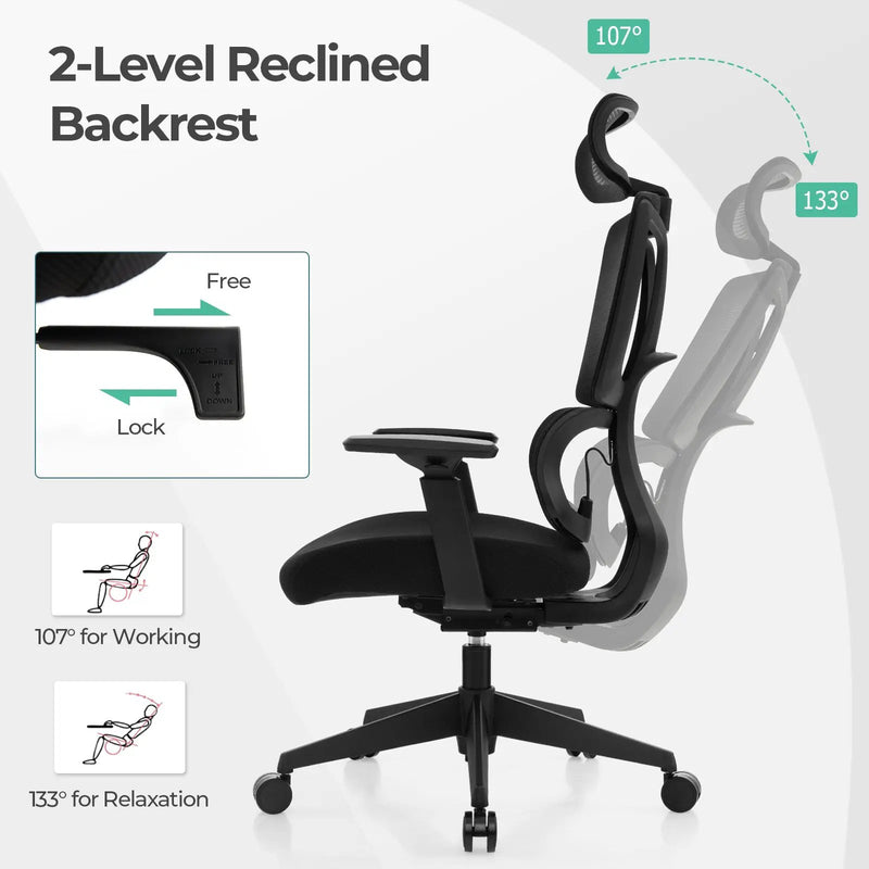Ergonomic Office Chair with N Type Lumbar Support and Adjustable Headrest-Black by DirectDeals
