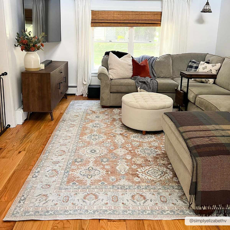Ezio Boutique Washable Rug - Clearance by Boutique Rugs
