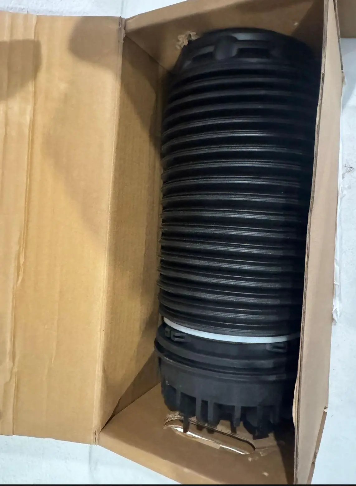 Airsusfat Rear Air Suspension Spring for Dodge Ram 1500 2013-2018 Air Bellows 68248948AA 04877136AA 04877136AB by Selzalot