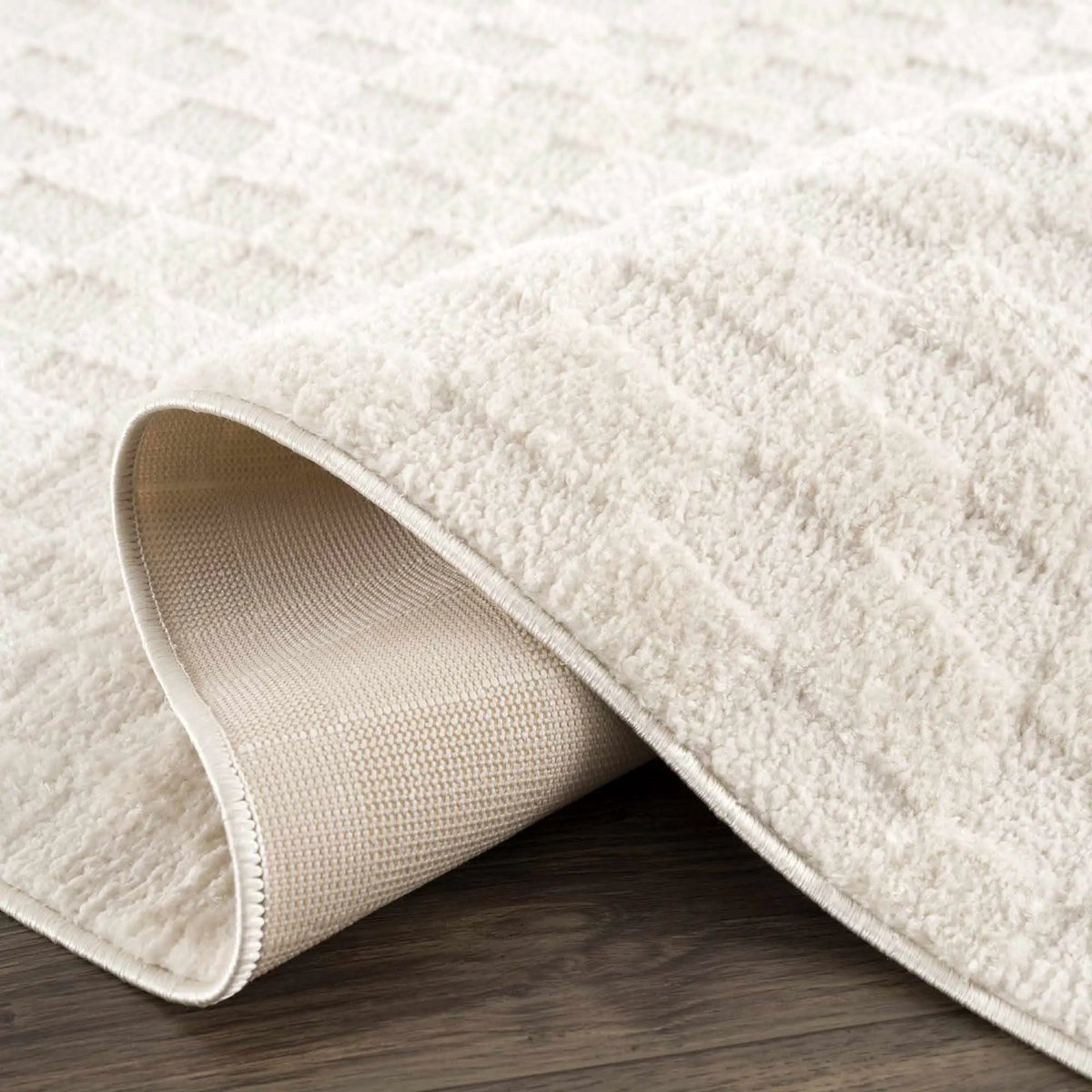 Keesa Checkered Area Rug, photo 8 of 24