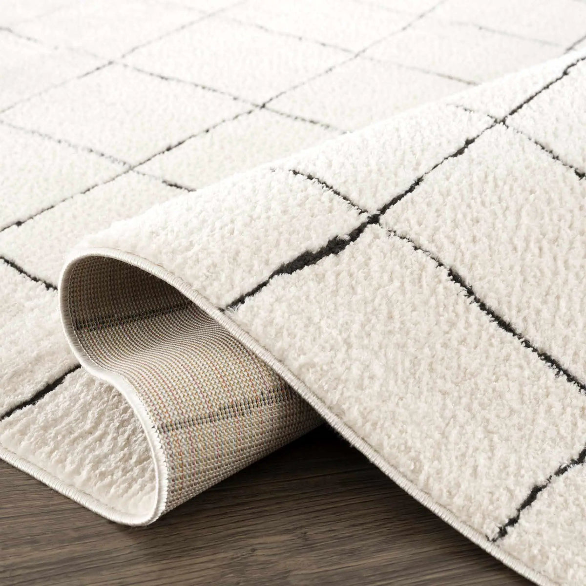 Keanu Black & White Area Rug - Clearance, photo 8 of 20