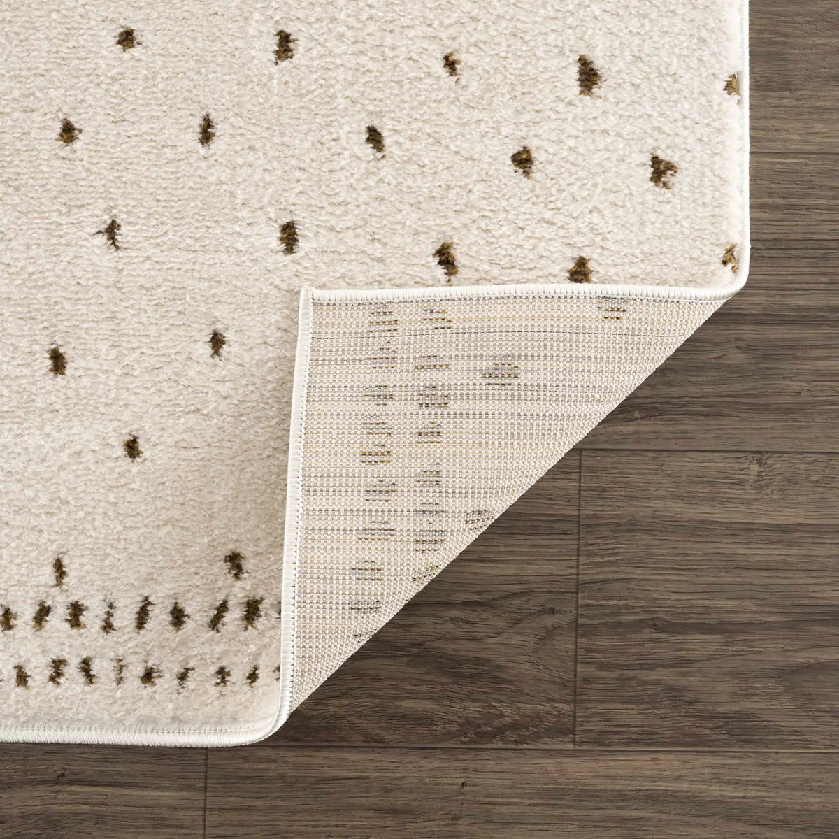Julie Ivory & Brown Area Rug, photo 5 of 19