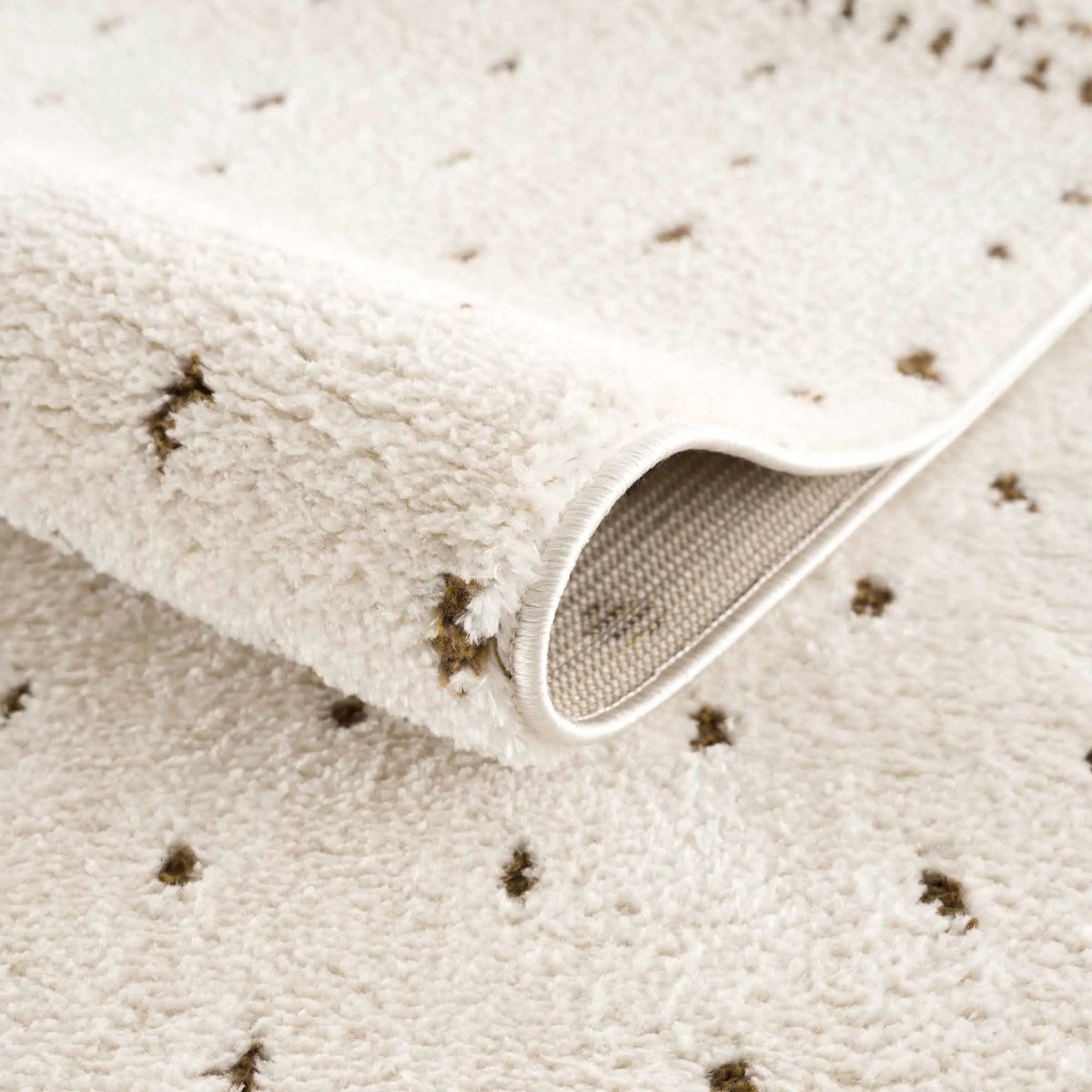 Julie Ivory & Brown Area Rug, photo 6 of 19