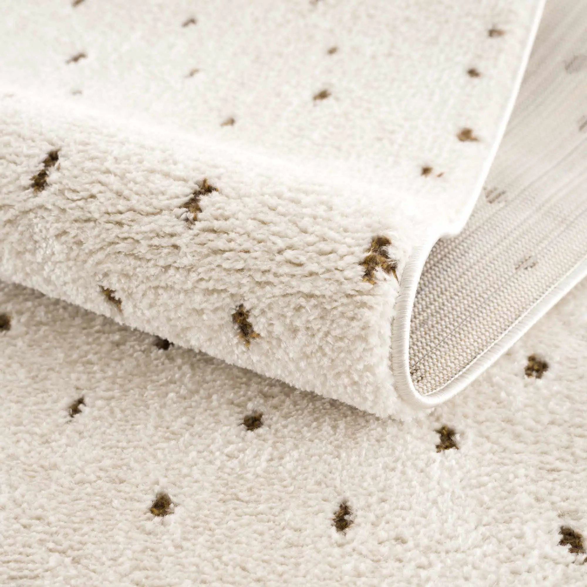 Julie Ivory & Brown Area Rug by Boutique Rugs