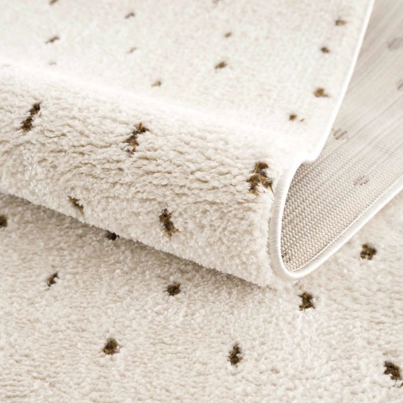 Julie Ivory & Brown Area Rug by Boutique Rugs
