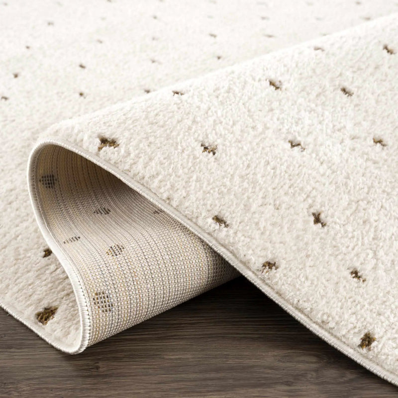Julie Ivory & Brown Area Rug by Boutique Rugs