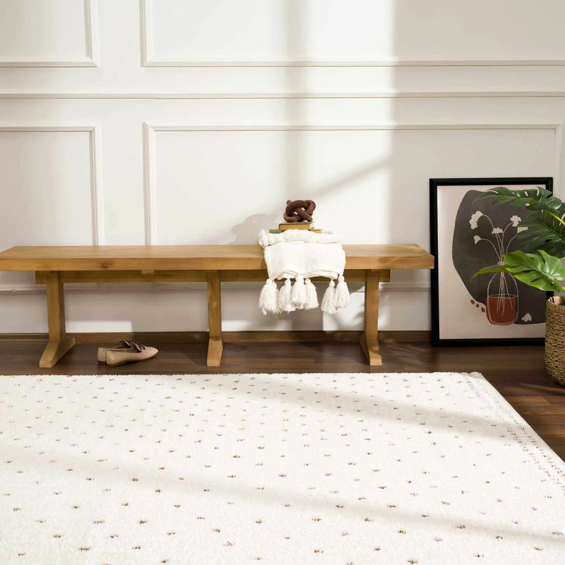 Julie Ivory & Brown Area Rug by Boutique Rugs