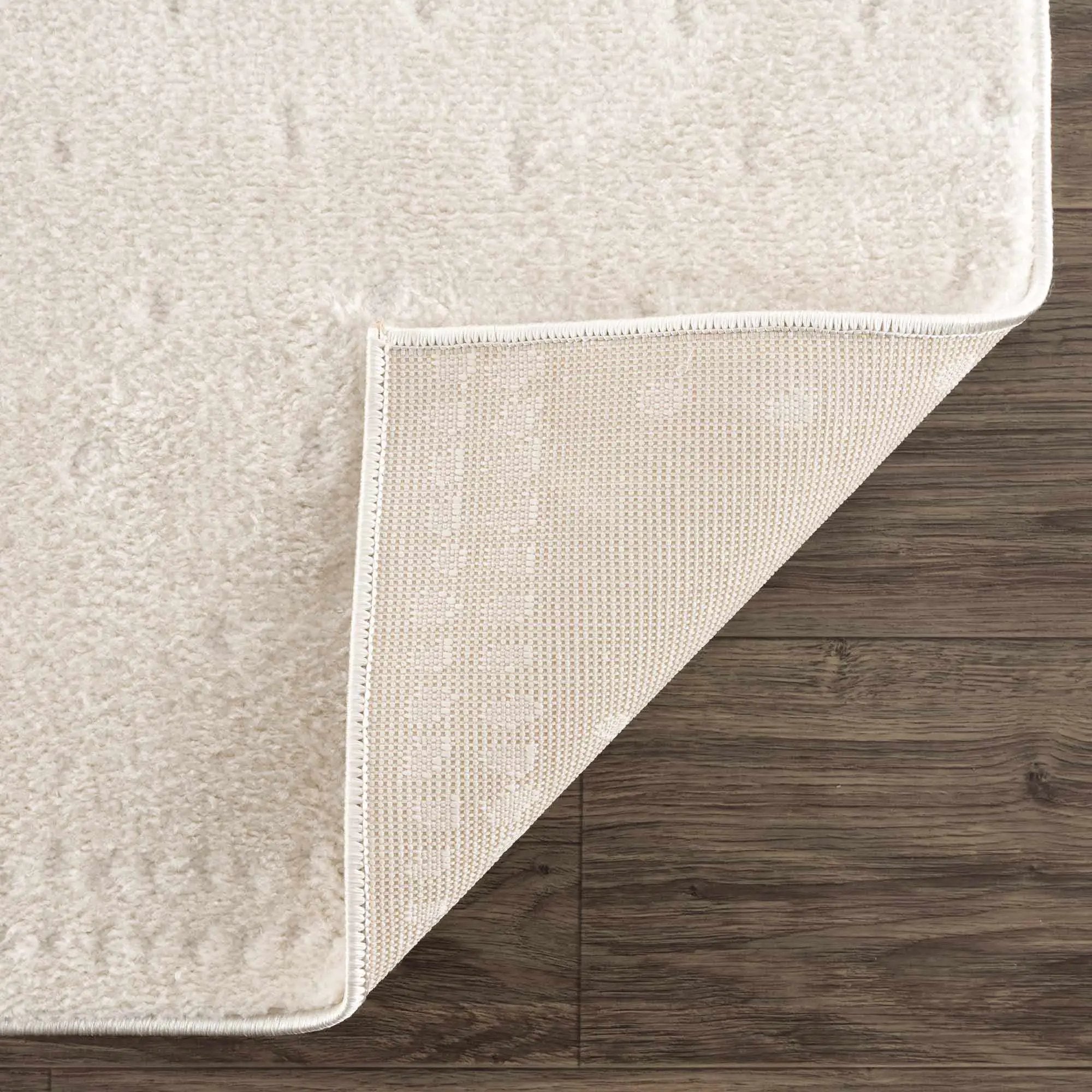 Julie Ivory Area Rug by Boutique Rugs