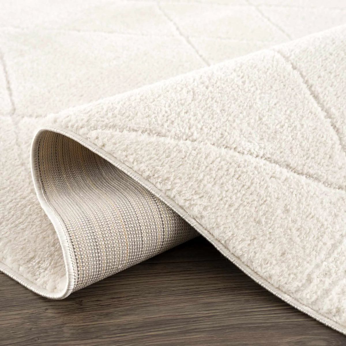 Keone Ivory Area Rug, photo 8 of 21