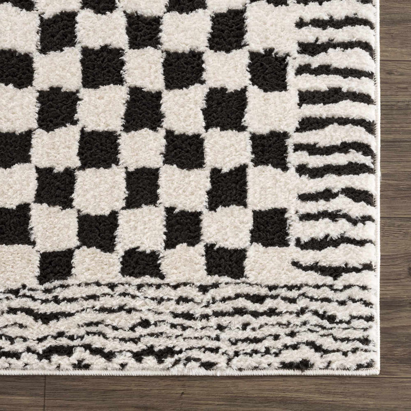 Leryn Black & White Checkered Area Rug by Hauteloom