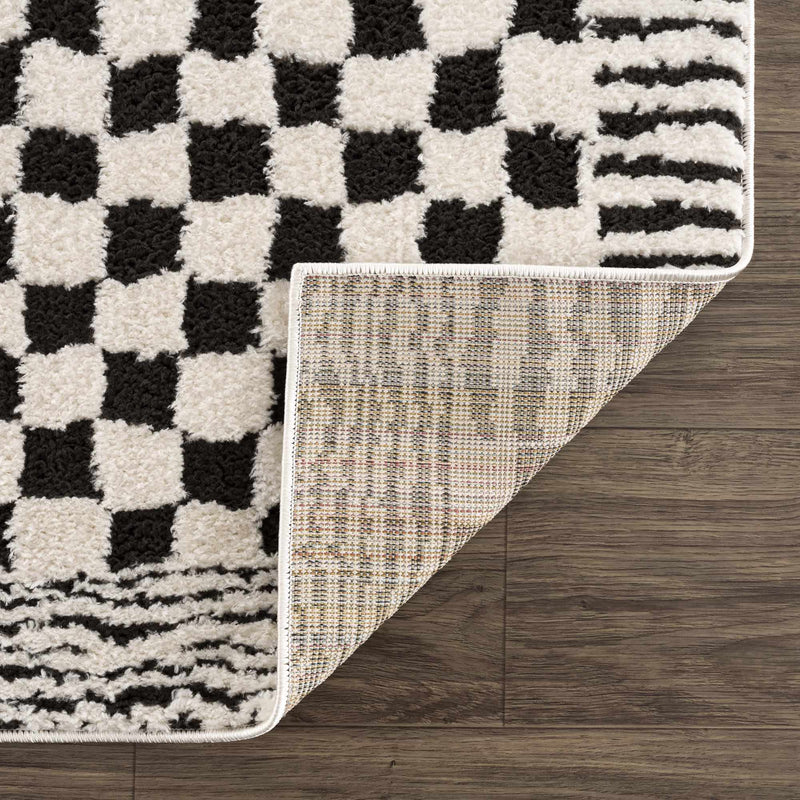 Leryn Black & White Checkered Area Rug by Hauteloom