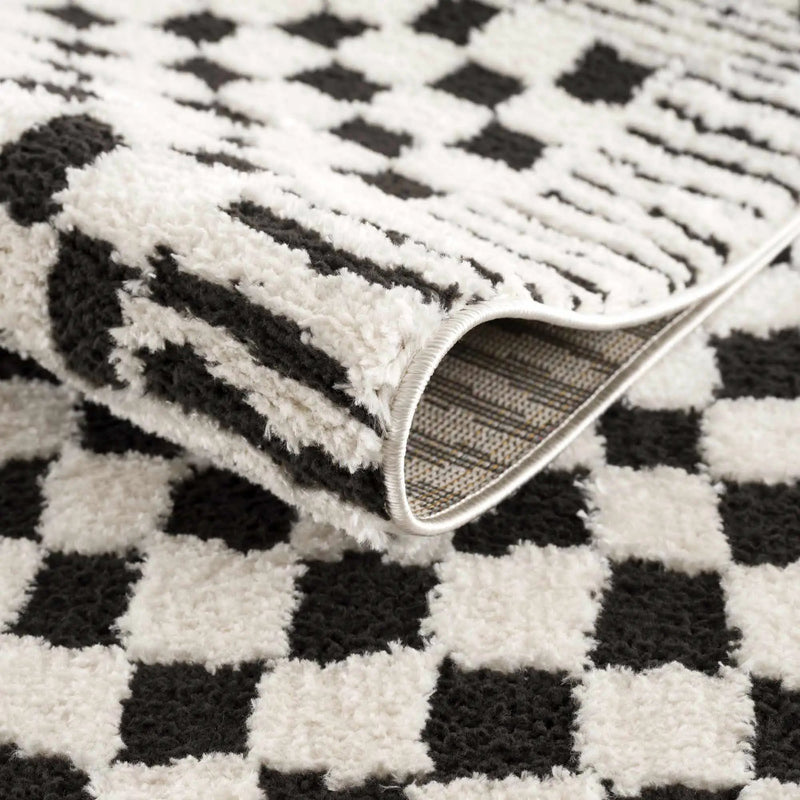 Leryn Black & White Checkered Area Rug by Hauteloom
