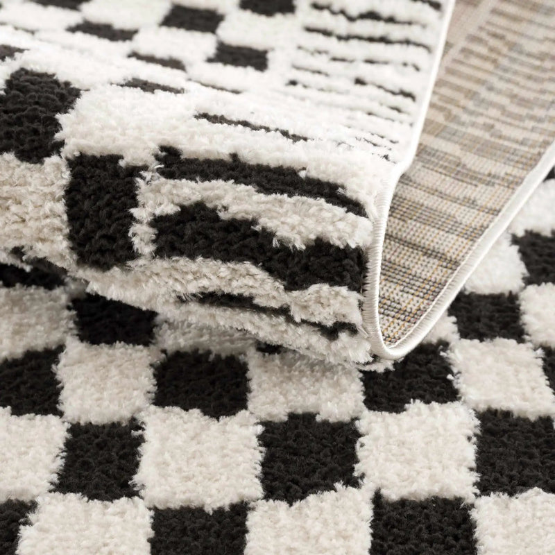 Leryn Black & White Checkered Area Rug by Hauteloom
