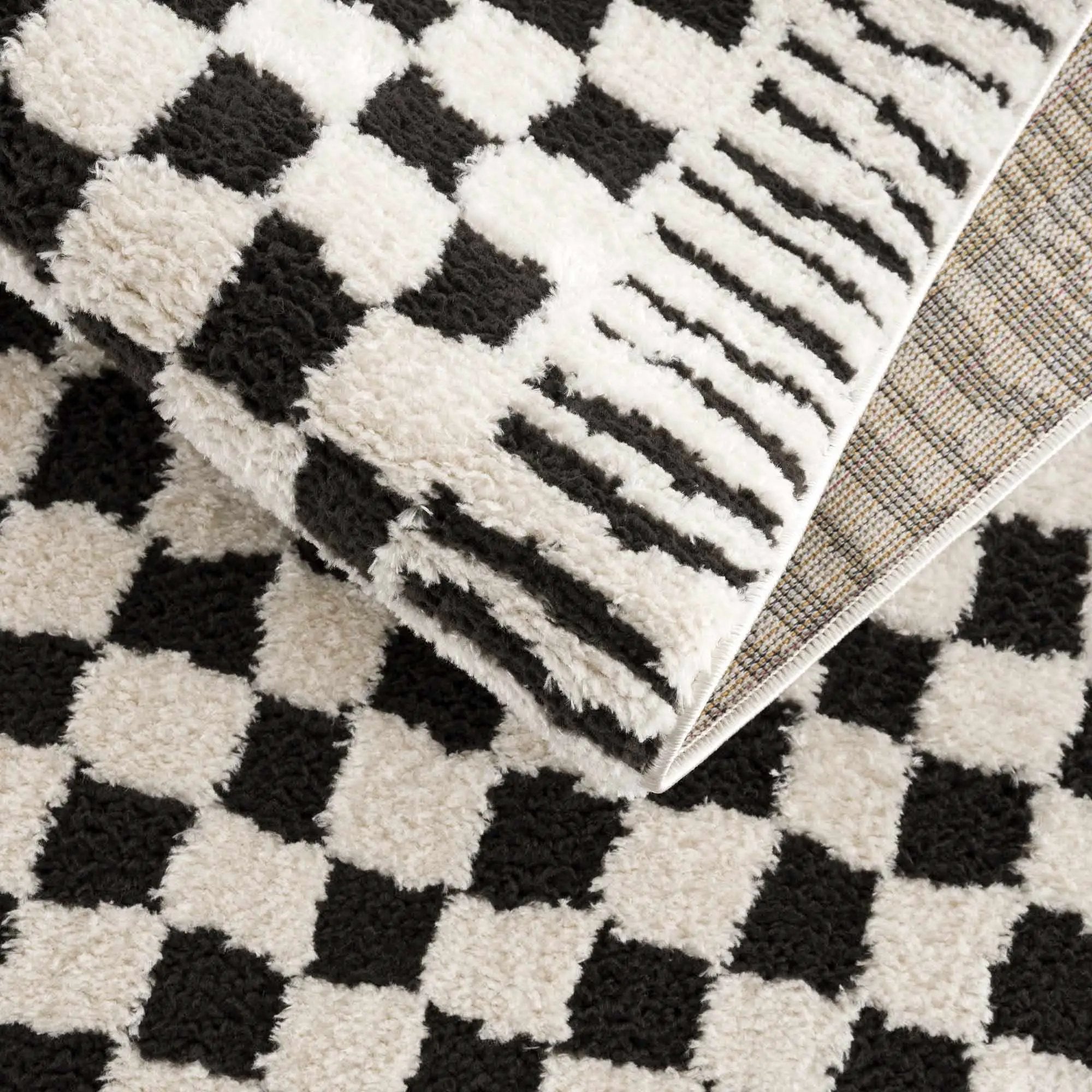 Leryn Black & White Checkered Area Rug by Hauteloom