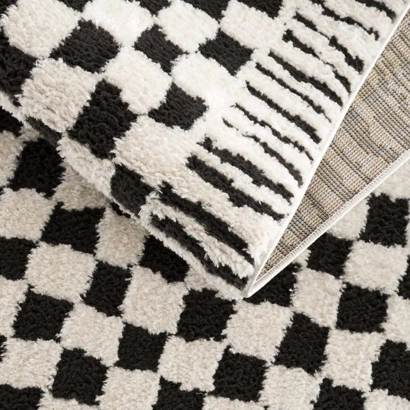 Leryn Black & White Checkered Area Rug by Hauteloom