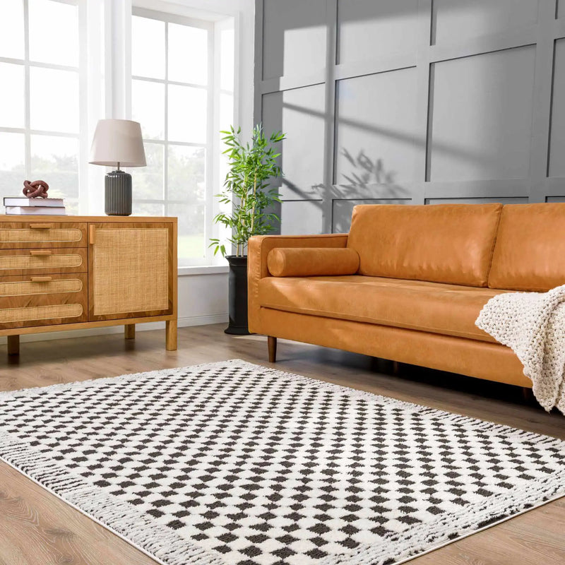 Leryn Black & White Checkered Area Rug by Hauteloom