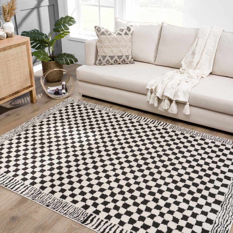 Leryn Black & White Checkered Area Rug by Hauteloom