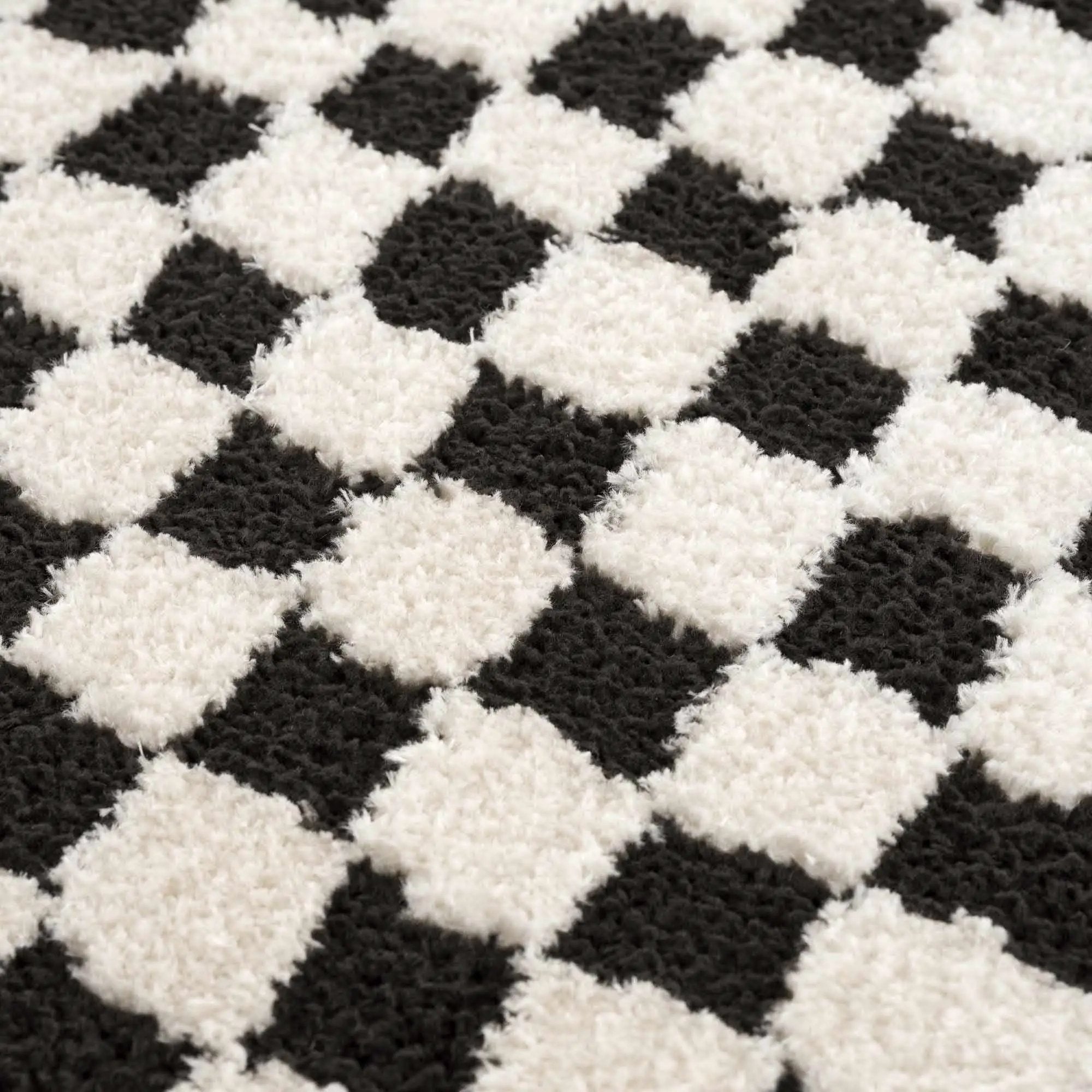 Leryn Black & White Checkered Area Rug by Hauteloom