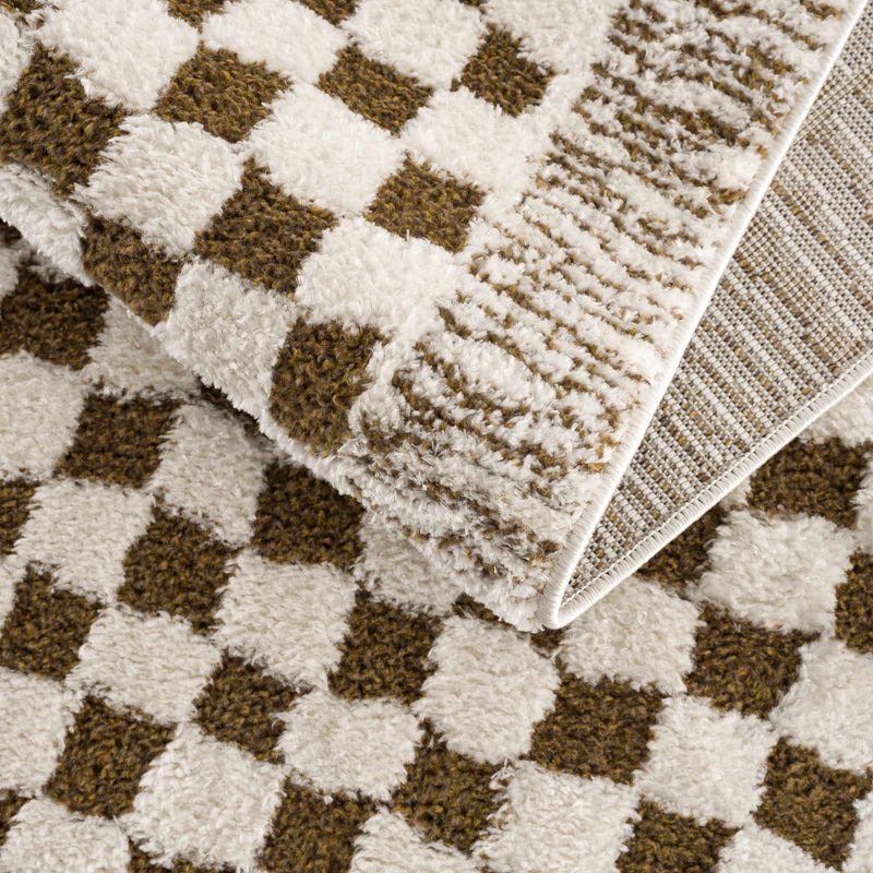 Leryn Brown & White Checkered Area Rug by Hauteloom