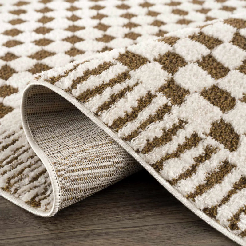 Leryn Brown & White Checkered Area Rug by Hauteloom