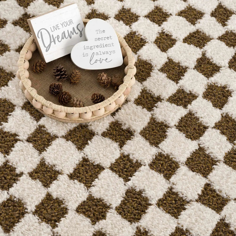 Leryn Brown & White Checkered Area Rug by Hauteloom