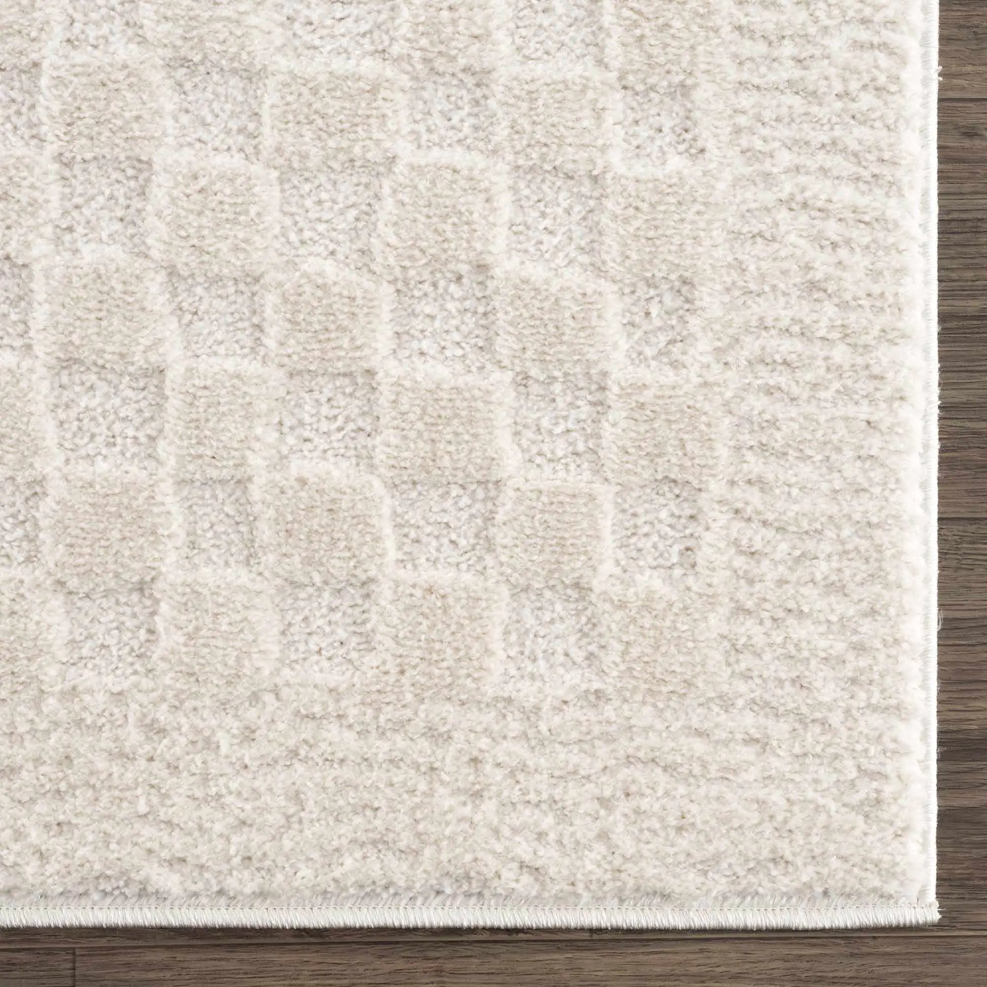 Leryn Ivory Checkered Area Rug by Hauteloom