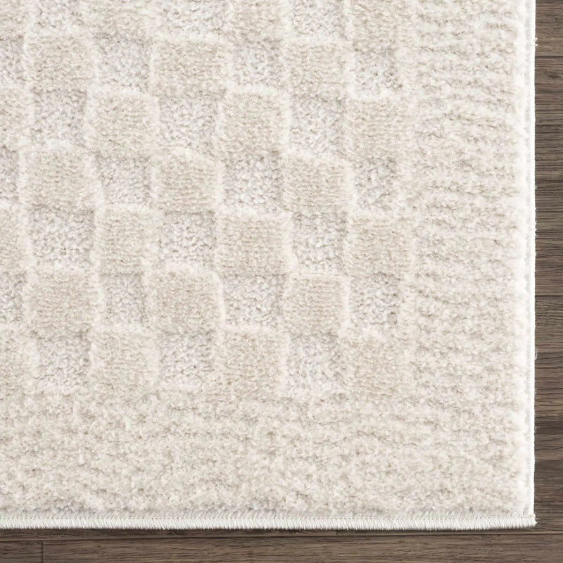 Leryn Ivory Checkered Area Rug by Hauteloom