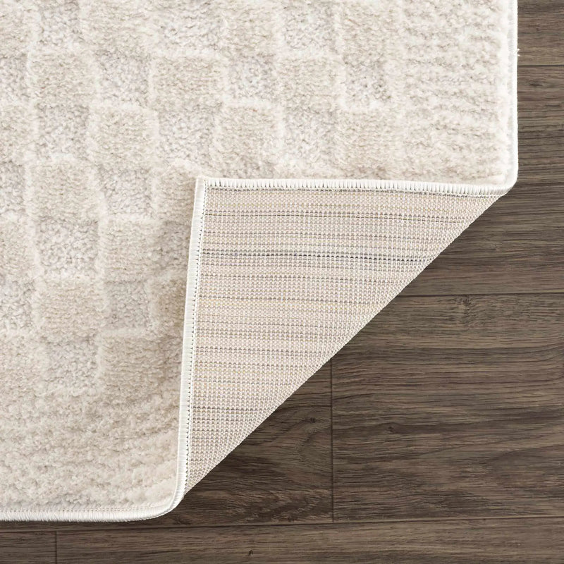 Leryn Ivory Checkered Area Rug by Hauteloom