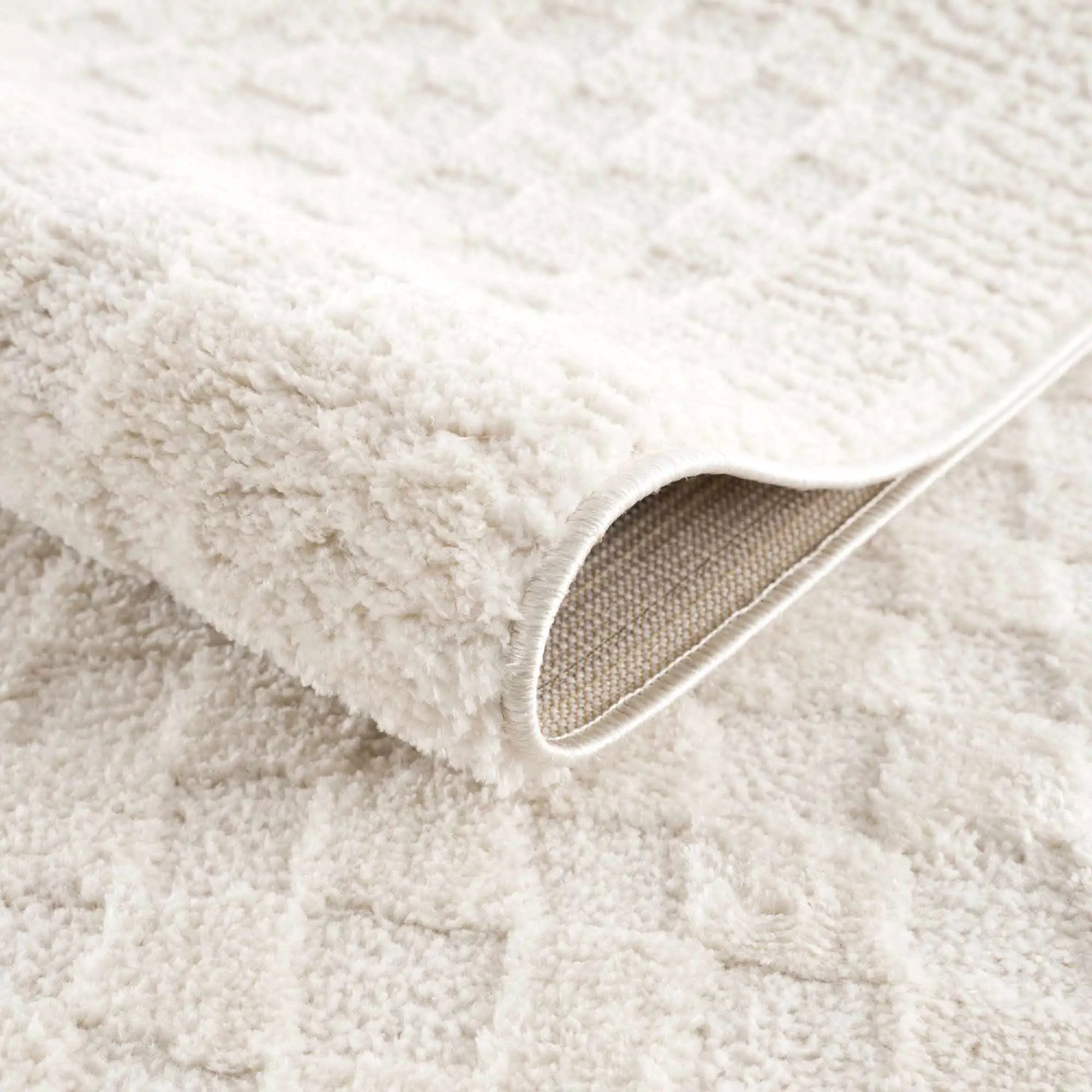 Leryn Ivory Checkered Area Rug by Hauteloom