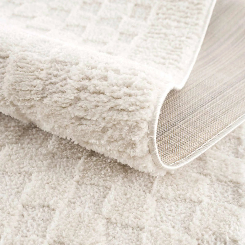Leryn Ivory Checkered Area Rug by Hauteloom