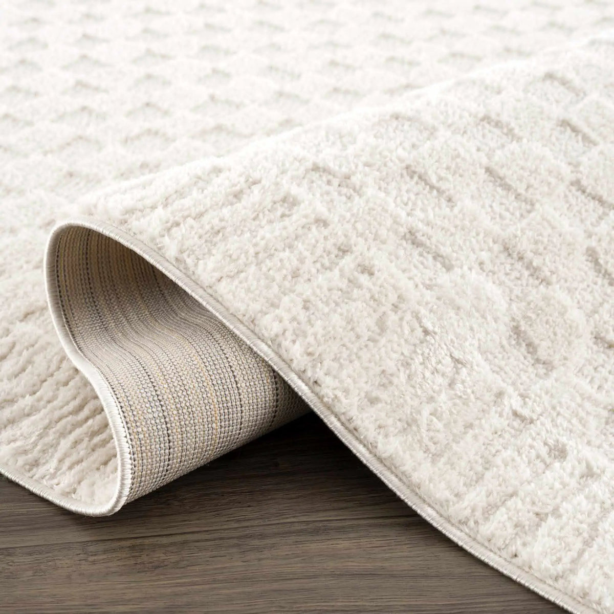 Leryn Ivory Checkered Area Rug, photo 9 of 16