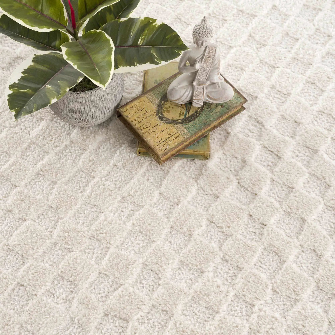 Leryn Ivory Checkered Area Rug by Boutique Rugs