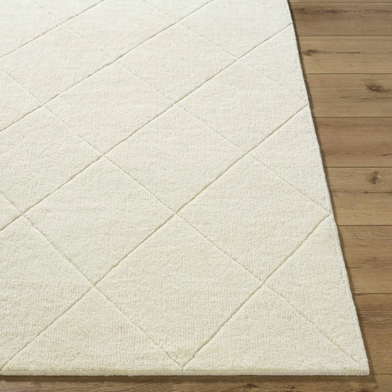 Almeda Washable Wool Area Rug by Boutique Rugs
