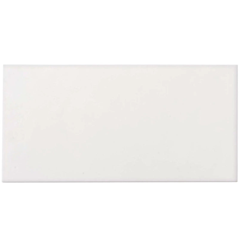White 12x24 Honed Field Thassos Marble Tile (5 pack, 10 sq ft/case) by Apollo Tile