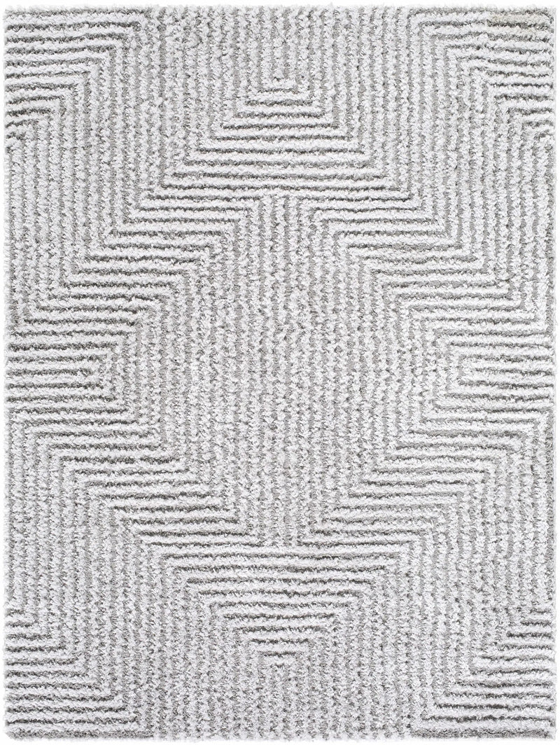 Ashlyn Light Slate Area Rug by Boutique Rugs