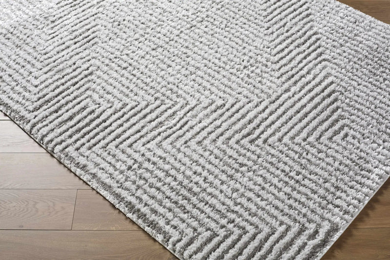 Ashlyn Light Slate Area Rug by Boutique Rugs