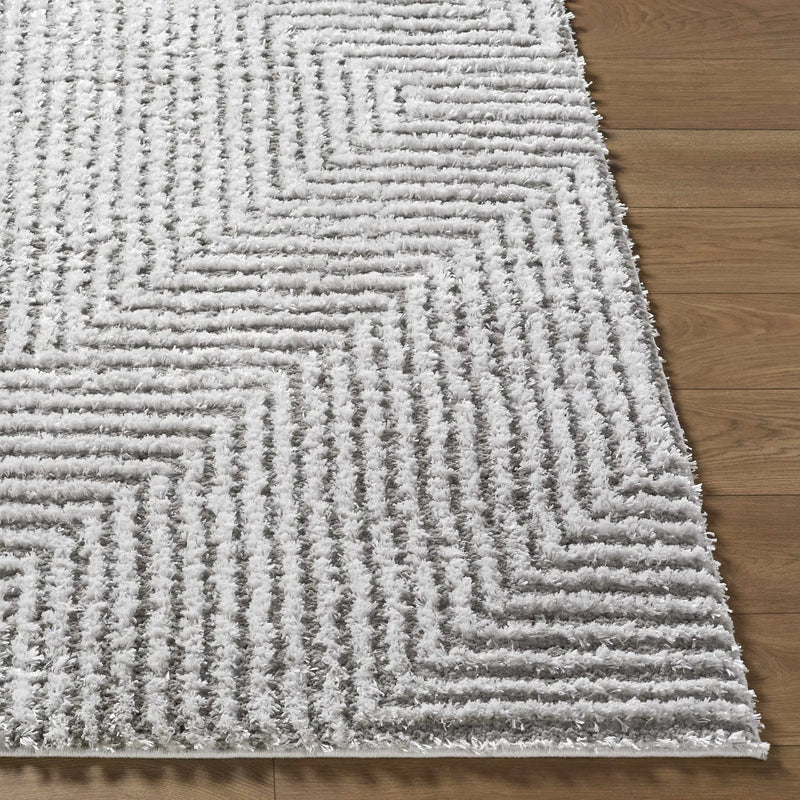 Ashlyn Light Slate Area Rug by Boutique Rugs