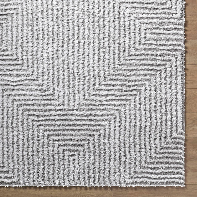 Ashlyn Light Slate Area Rug by Boutique Rugs
