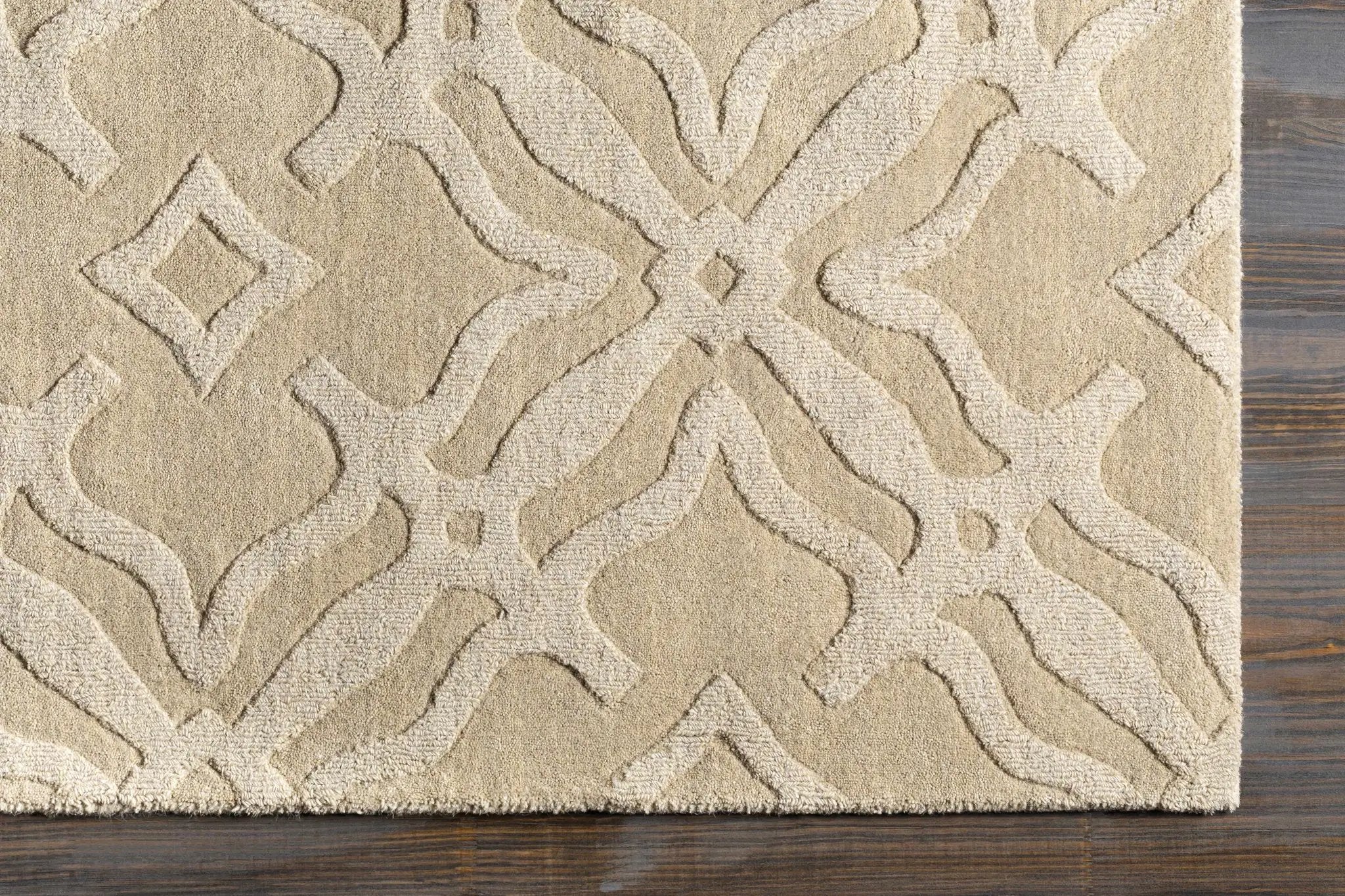 Fyffe Embossed Beige Wool Area Rug by Boutique Rugs