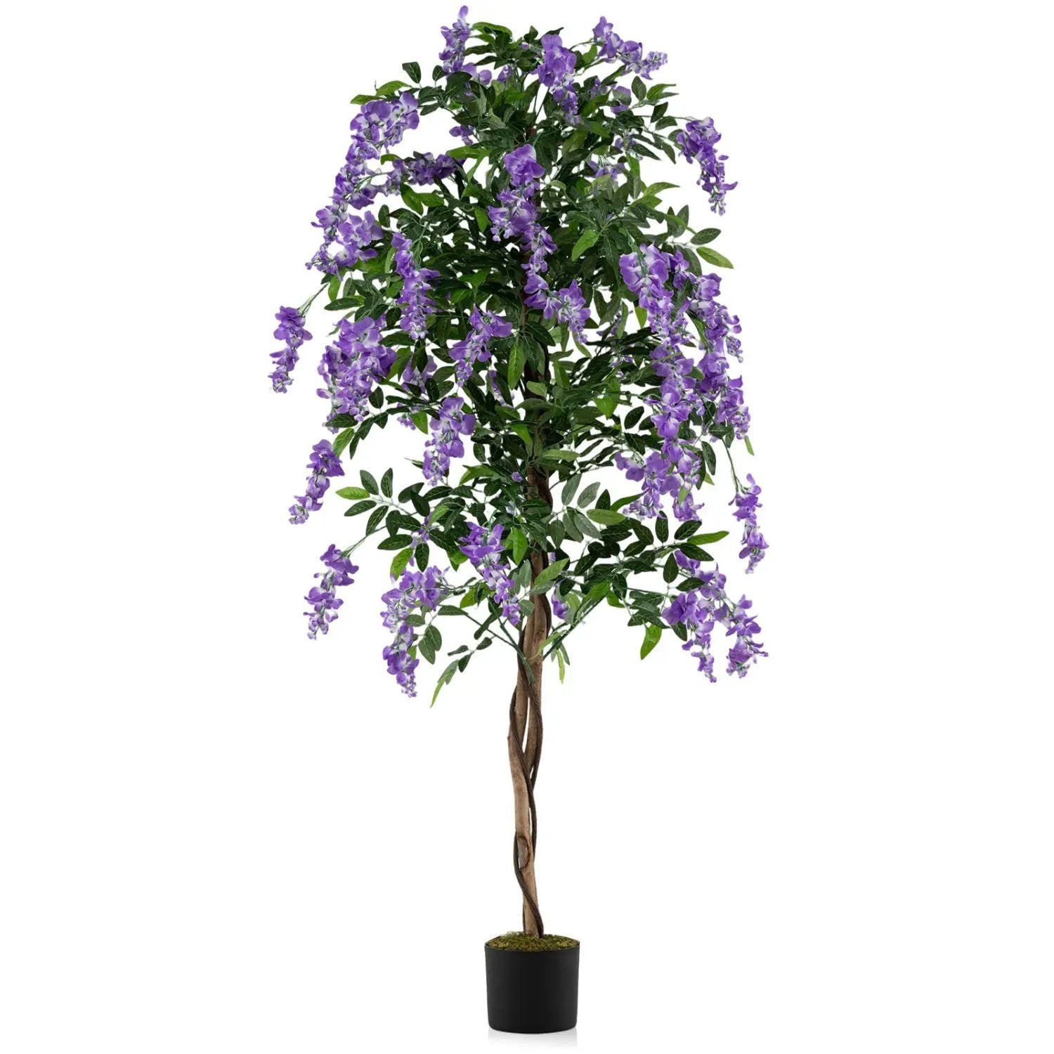 Set of 2 Fake Ficus Plant 6 FT Artificial Wisteria Tree with Natural Trunks and Purple Lifelike Flowers by DirectDeals