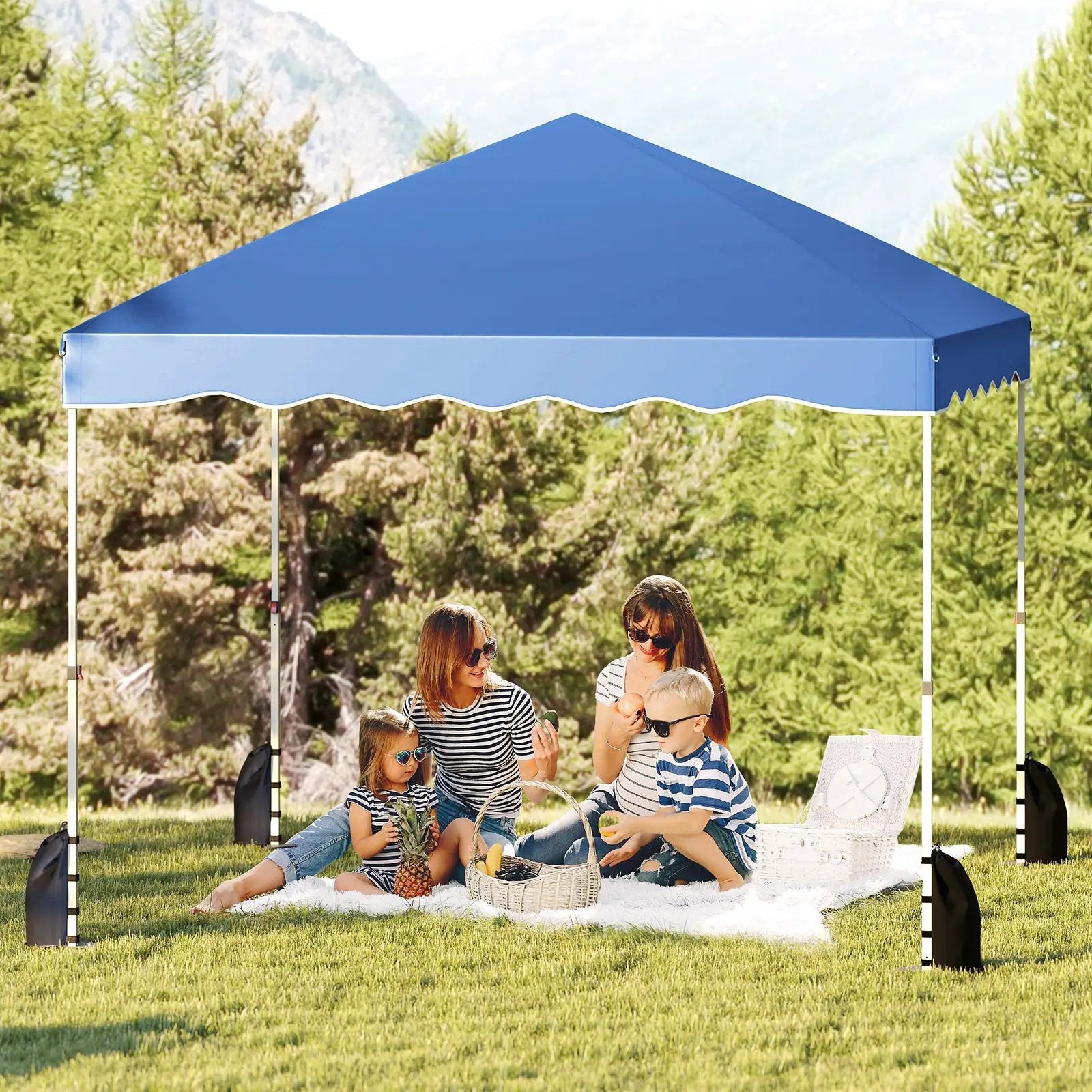 Foldable 10 X 10 Feet Pop up Canopy Tent with Wheeled Bag by DirectDeals