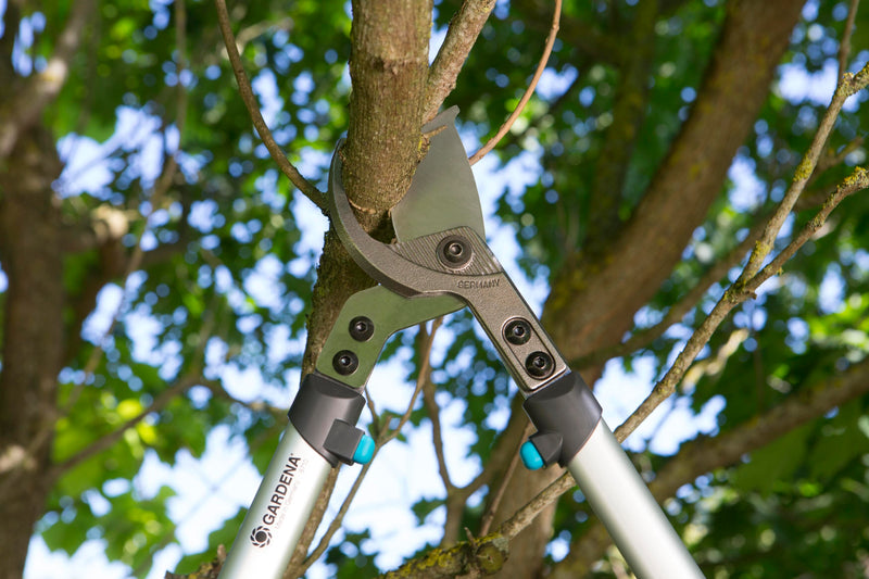 Pruning Lopper _x005F_x000D__x000D_
PremiumCut 700 B, photo 2 of 4