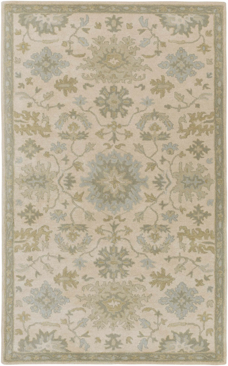 Hazen 1197 Hand Tufted Light Beige Wool Rug by Boutique Rugs
