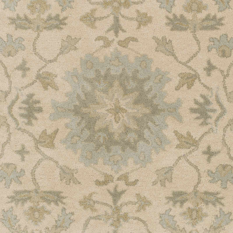 Hazen 1197 Hand Tufted Light Beige Wool Rug by Boutique Rugs