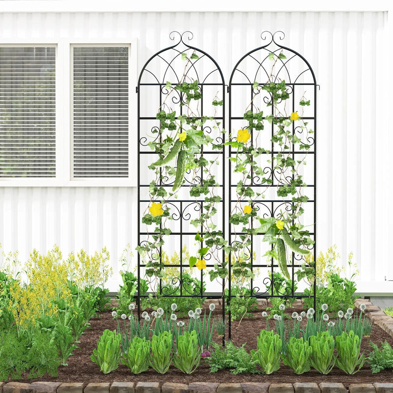 4 Pack 71" x 20" Metal Garden Trellis for Outdoor Climbing Plants by DirectDeals